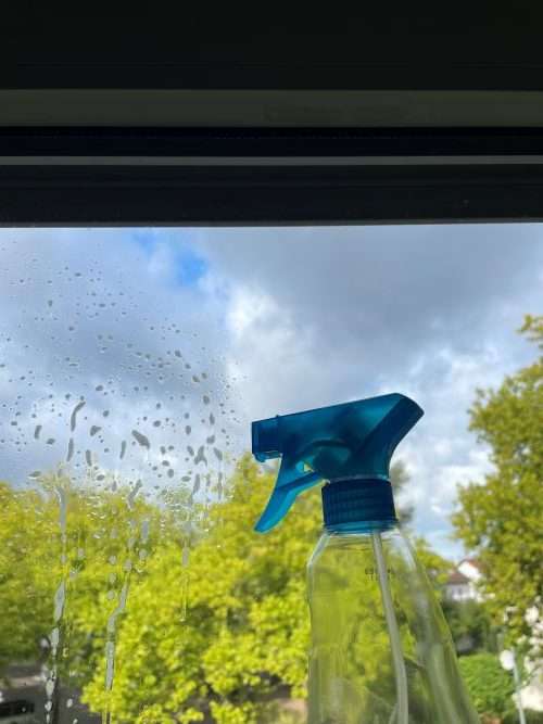 Fenster wird mit Putzmittel eingesprüht, noch denkt keiner an den Vogel.